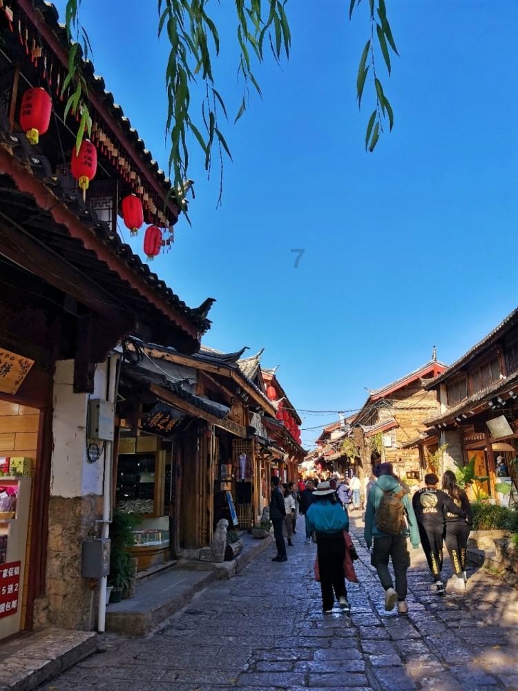 云南迪庆纳帕海首次记录到国家二级保护动物赤狐